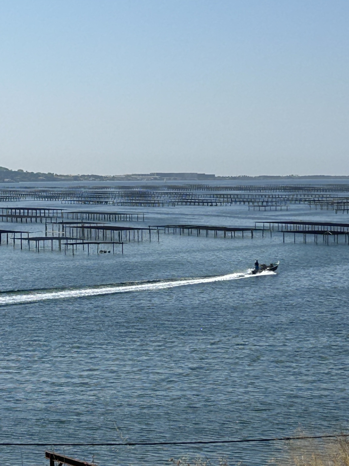 Austernbänke im Meer in Frankreich als Ursprung der mobilen Austernbar